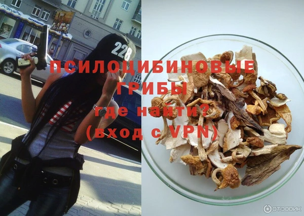хмурый Верея