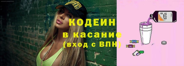 хмурый Верея