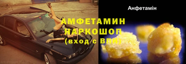 хмурый Верея