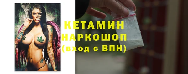 хмурый Верея