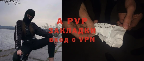 хмурый Верея