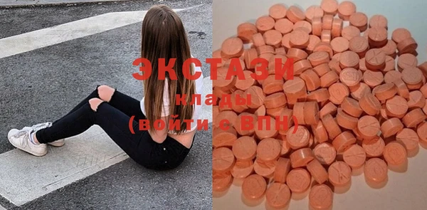 хмурый Верея