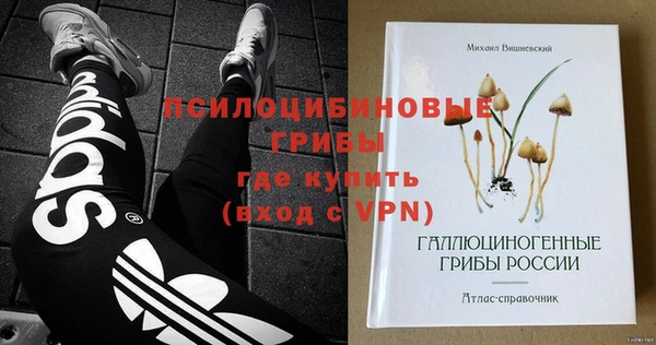 MDMA Верхний Тагил