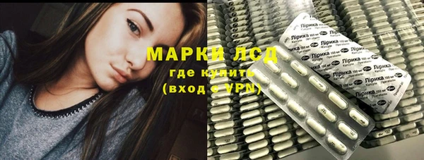 хмурый Верея