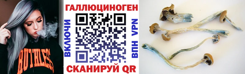 дарнет шоп  Березники  Галлюциногенные грибы Magic Shrooms 